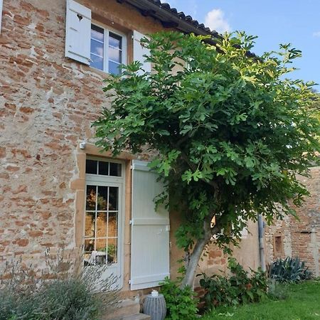 Le Gite Du Carge D'Arlay Charnay-lès-Mâcon エクステリア 写真